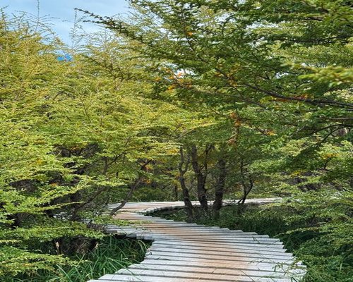 calm walk through a Chilean city park